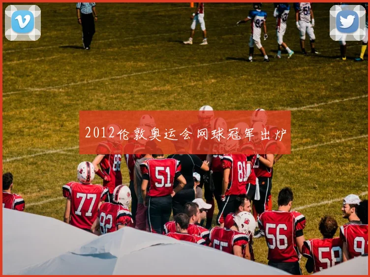2012伦敦奥运会网球冠军出炉