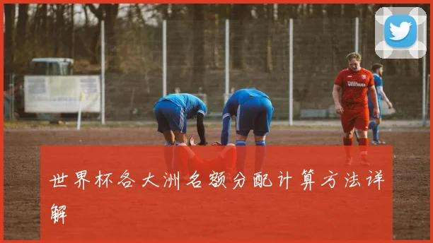 世界杯各大洲名额分配计算方法详解