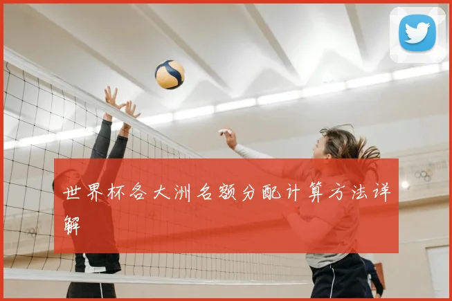 世界杯各大洲名额分配计算方法详解