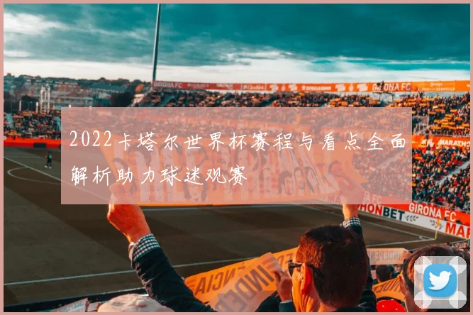 2022卡塔尔世界杯赛程与看点全面解析助力球迷观赛